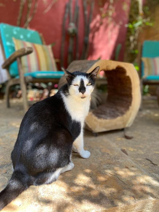 Cumelen Villa Jijoca de Jericoacoara Kültér fotó