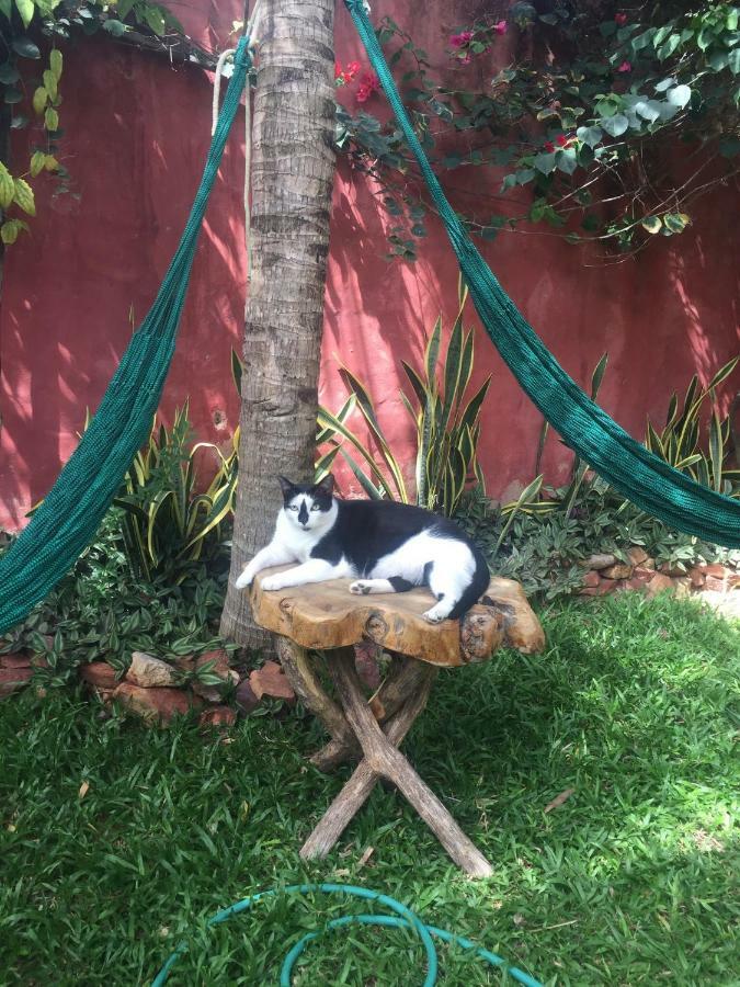 Cumelen Villa Jijoca de Jericoacoara Kültér fotó